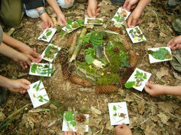 Bei B.Hetzel erfahren die Kinder wissenswertes über heimische Tiere, Pflanzen, Lebensräume und Jahreszeiten.