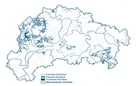 Forschungsfeld: Raumentwicklungsstrategien zum Klimawandel Modellregionen Schwerpunktsetzung der Modellregion Mittel- und Südhessen: Eine Basis für die Arbeit der Region war eine Expertenbefragung