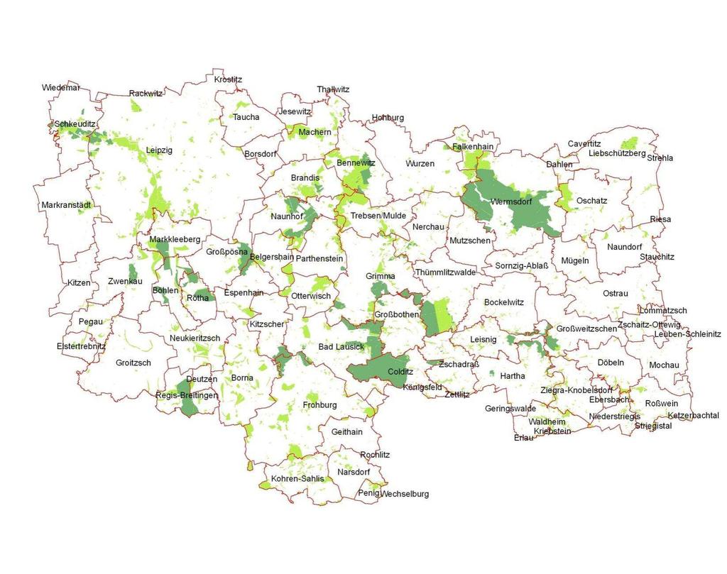 Forstbezirk Leipzig Waldumbau Auwaldstandorte mit Wiedervernässung/GES-Triebsterben Umbau zu eichendominierten Hartholzauwäldern