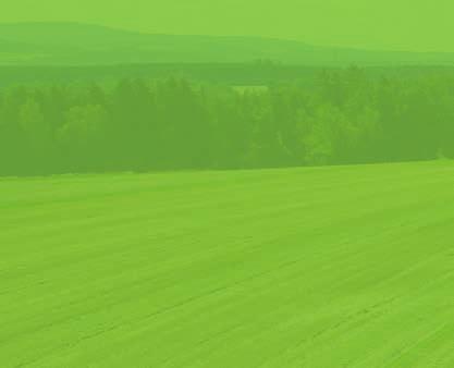 Der Biogastiger kann und wird einen entscheidenden Beitrag zum Energiemix der Zukunft leisten, ohne dabei weitere landwirtschaftliche Flächen in Konkurrenz zur Nahrungsmittelproduktion zu binden.
