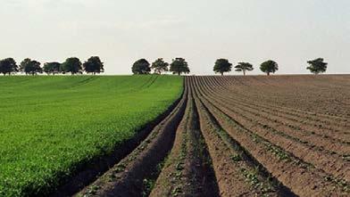 Euro: Umgeschlagen waren: 0,3 % der Landesfläche (47.616 km 2 ), 0,45% der Landwirtschaftsfläche (28.