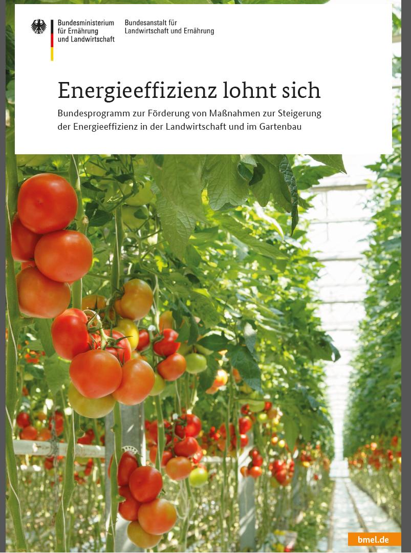 Energieeffizienz in der Landwirtschaft und im Gartenbau NAPE Nationaler Aktionsplan zur Steigerung der Energieeffizienz Eingesetzte Energie