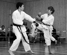 Kim Prengel (TSV Schlierbach) 2. Alina Prengel (TSV Schlierbach) 3. Ylenia Attorre (TSV Schlierbach) Kata Jungen Jahrgang 1990 bis 1993 1. Marc Christoph Koukal (Dojo Taikikan D.) 2. Thomas Rietzschel (Dojo Taikikan D.