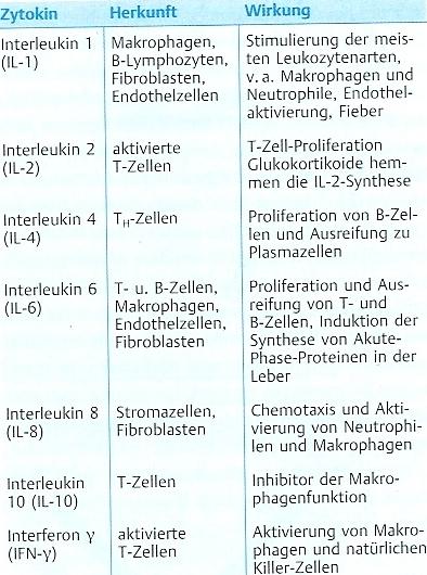 BLUT 17 aufgenommenen Mikroorganismen abgetötet. Granulozyten sterben nach erfolgter Phagozytose durch Apoptose.