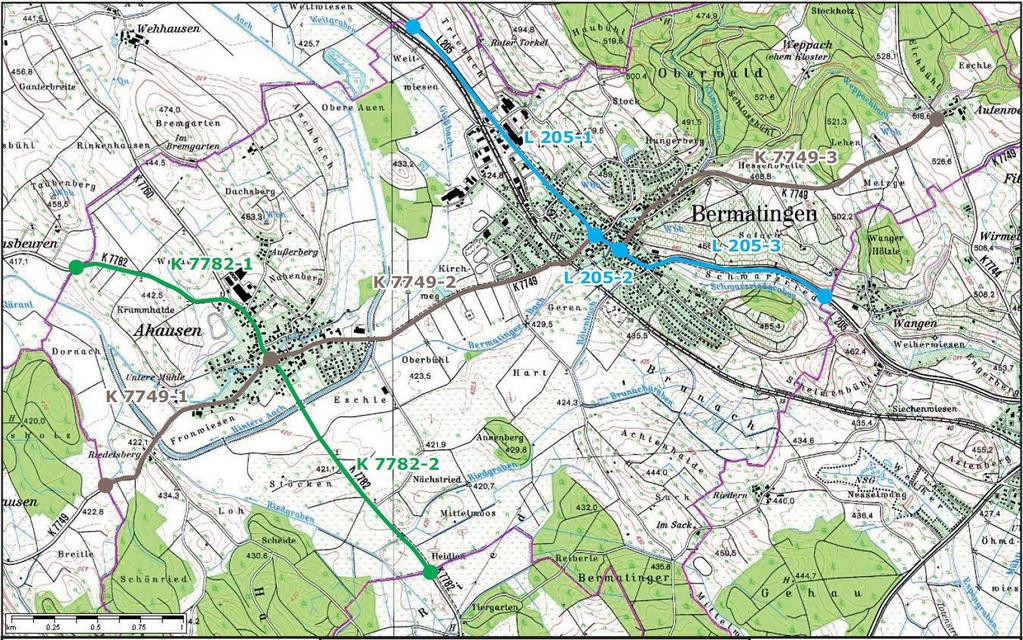 Gemeinde Bermatingen 3 Abbildung 3: Kartierte Strecken (Grundlage: TOP-Karte LVA B-W) 1.