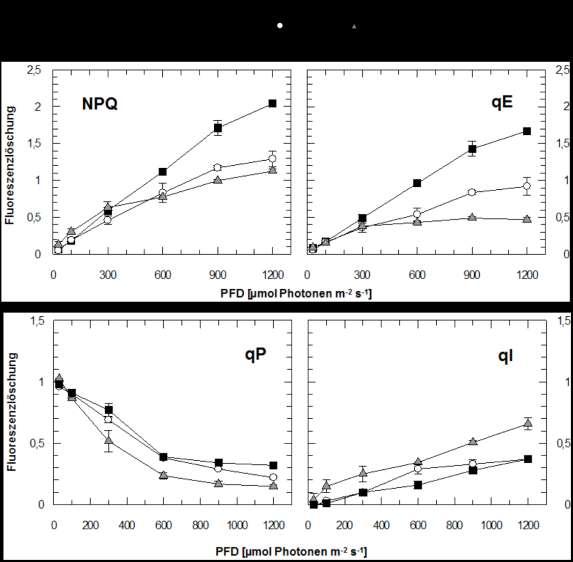 3 Ergebnisse Abb. 3.12: Fluoreszenzlöschung in Abhängigkeit von der Anregungslichtintensität in der Linie 16/3 im Vergleich zum WT Col-0 und npq1.