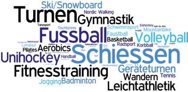4. Angebote und Leistungen Vielfältiges und breites Sportangebot In den Schweizer Sportvereinen können die unterschiedlichsten Sportarten ausgeübt werden.