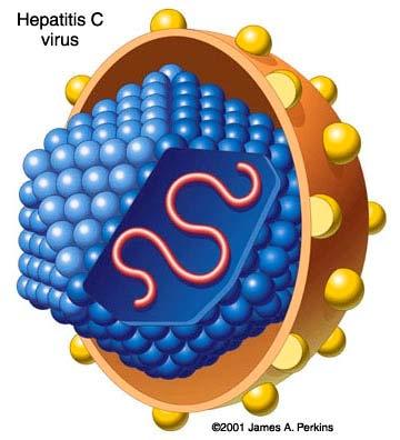 Bsp.: Genereller Aufbau von Viren: außen: innen: Protein (Schutz) RA oder DA modifiziert behüllte Viren besitzen eine weitere (zweite) Schicht, bestehend aus einem lipid