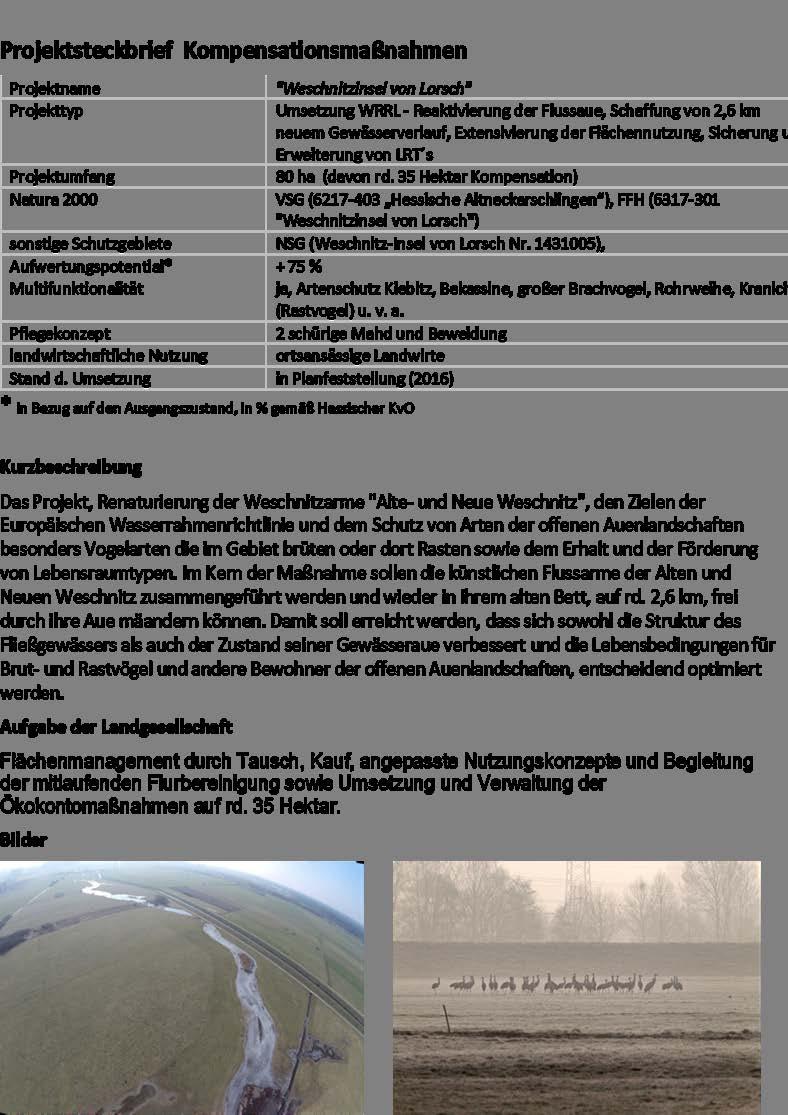 Projektbeispiele Projekt Welschnitzinsel von Lorsch Flächenmanagement durch Tausch, Kauf, angepasste