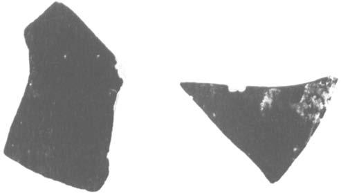 Zustand: ein Halsfragment. Stark oranger Ton, beidseitig sorgfàltig schwarz gefirniik. Halswulst. Hôhe erhalten 2,7 cm. Abb. 44. Fragment (Nr. 19). Malibu 76.AE.107 D 3. 19. Fragment. Abb. 44. Inv.