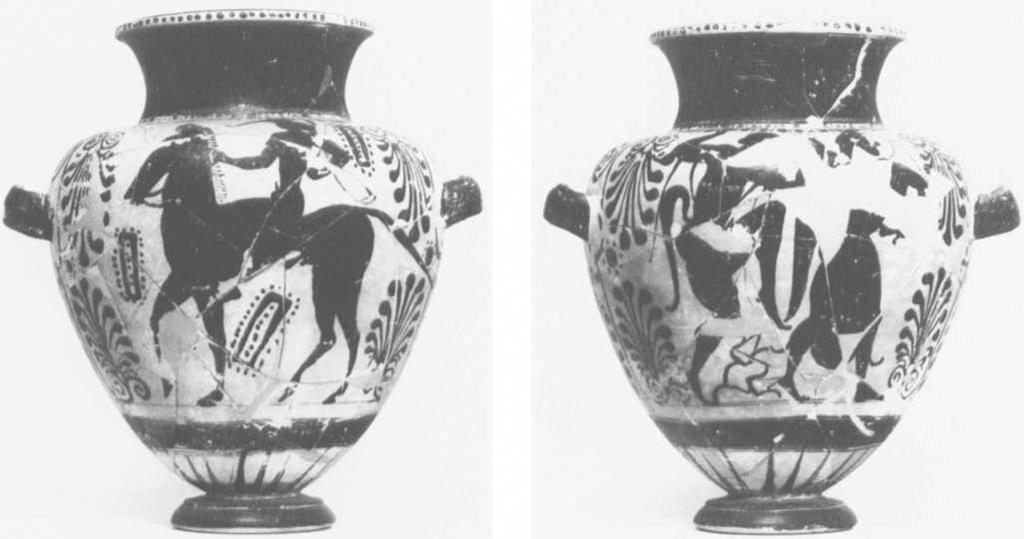 128 Schwarz Figure 4- Etruscan black figure stamnos, Group of Munich 883. Philadelphia, The University Museum L-29-56, A. Figure 6. Profile of Philadelphia, University Museum L-29-56. Figure 5.