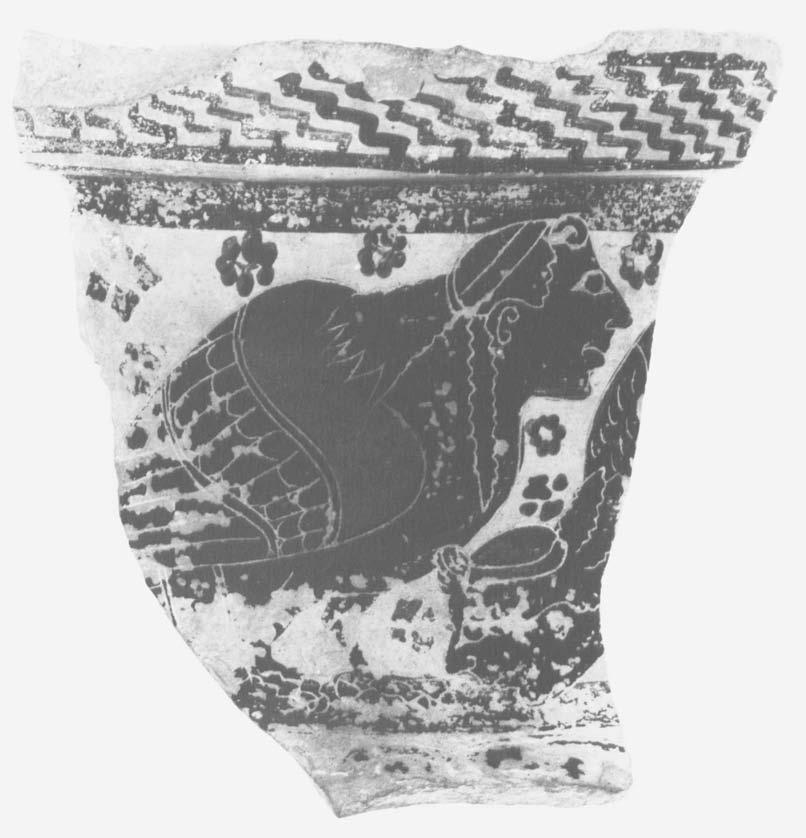 36 Frel Figure 1. Fragment from the neck of an amphora by the Nettos Painter.