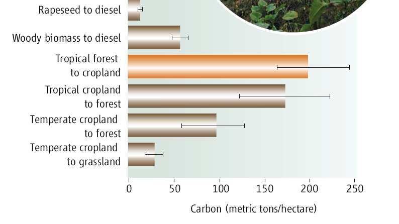Cumulative avoided emissions per hectare over 30 years for a range of biofuels compared