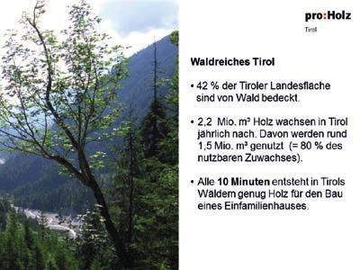 Alle 10 Minuten entsteht so in Tirols Wäldern genügend Holz für den Bau eines Hauses. Legt man diese Zahlen auf Österreich um, so wächst jede Sekunde 1 Kubikmeter Holz nach!