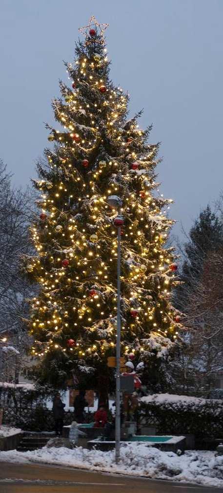 Wie bereits in den letzten Jahren hat es eine Initiative von ortsansässigen Betrieben übernommen, die große Tanne im Pfarrgarten in einen festlich geschmückten und beleuchteten Weihnachtsbaum zu