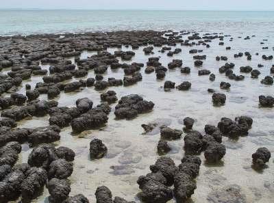 Der Sauerstoff reagiert mit dem reichlich im Wasser gelösten Eisen und diese formen die ersten, charakteristische Ablagerungen, die noch heute in Australien gefunden werden.