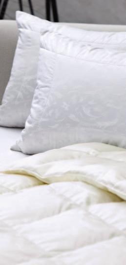 Bettdecken und Kissen Pflege von Daunenduvets und Federkissen Je sorgfältiger die Bettwaren gepfl egt werden, desto besser erfüllen sie die Komfortansprüche und desto mehr ist die Hygiene im Bett