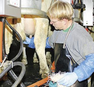 Der junge Milchviehhalter aus dem mittelfränkischen Pappenheim führt den Betrieb zusammen mit seinem Bruder Martin, der nebenher als Fütterungsberater arbeitet.