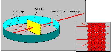 4.1 Elementarteilchen Elementarteilchen sind kleinste Bausteine der Materie, die aus nicht noch kleineren Einheiten zusammengesetzt sind. Historische Entdeckungen in der Teilchenphysik 1808 J.