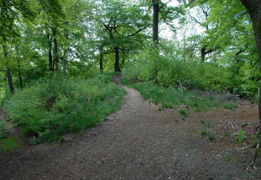 Verbuschte Landmarke Kiek in de