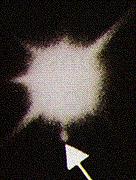 10.5 Kompakte Objekte Weiße Zwerge: Sirius: 1838: F.W. Bessel findet Sirius-Begleiter 1862: A.