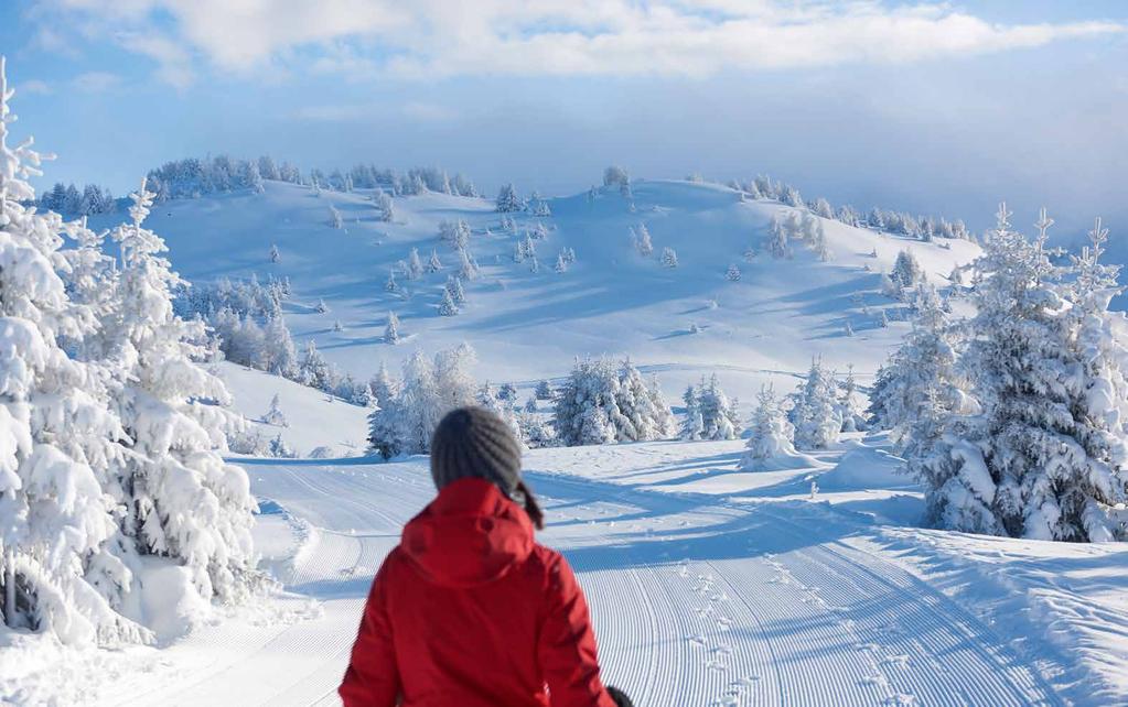 Winterzauber. Ski und Snowboard. Kulinarik. Graubündens eigene Eisenbahn. Entdecken Sie in der Schweizer Ferienregion Nr. 1 Aktivitäten für Gross und Klein.