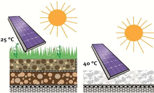 Gründach + Photovoltaik Kühleffekte der Begrünung führen zur Erhöhung des Wirkungsgrades der Photovoltaikanlage (ca.