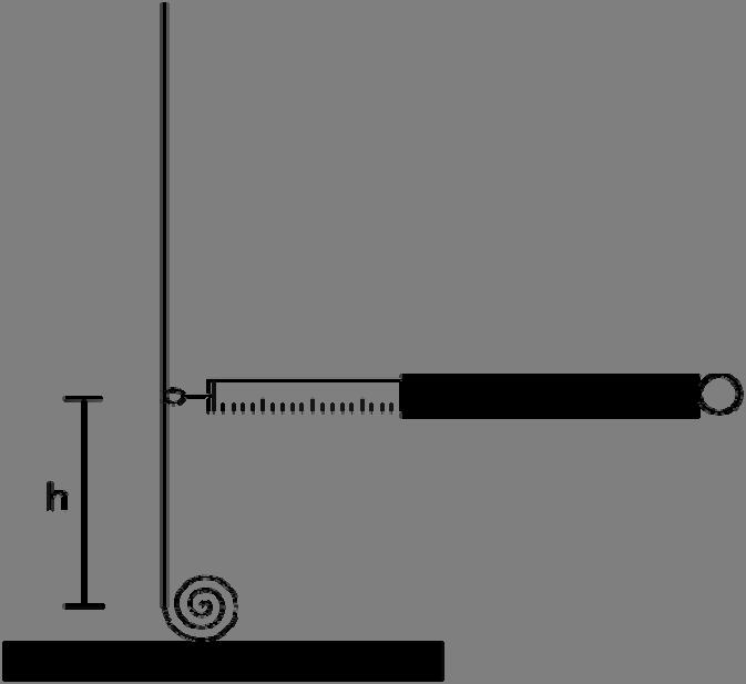 Experiment 4: Das Hebelgesetz an der Mausefalle Material: Mausefalle mit Hebel Kraftmesser Maßstab Messungen: Miss die Kraft F, mit der du den Hebel in senkrechter Position in Ruhe halten kannst,