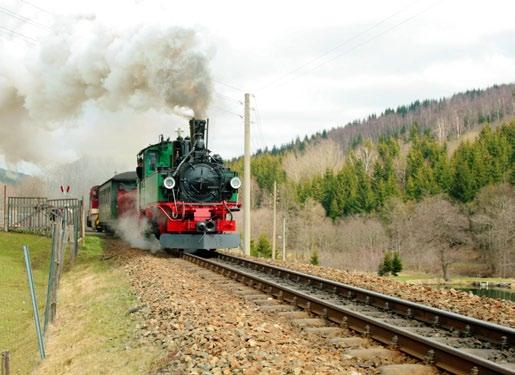 hauptsächlich in der RVE Schienenfahrzeugwerkstatt Marienberg und in Eigenregie abgewickelt wurde.