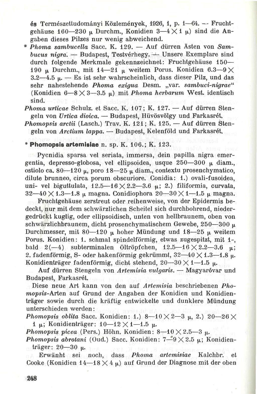 es Termeszettudomanyi Közlemenyek, 1926, 1, p. 1 64. Fruchtgehäuse 160 230 (x Durchm., Konidien 3 4X1 JA) sind die Angaben dieses Pilzes nur wenig abweichend. * Phoma sambucella Sacc. K. 129.
