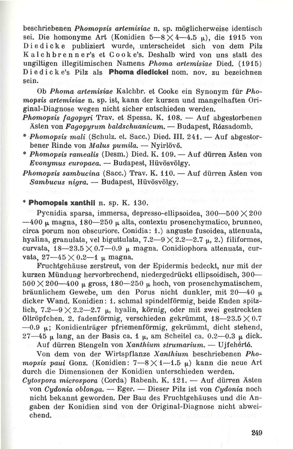 beschriebenen Phomopsis artemisiae n. sp. möglicherweise identisch sei. Die homonyme Art (Konidien 5 8X4 4.