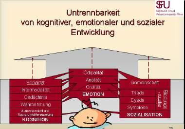 Vernetzung von Emotion, Sozialisation, Kognition Kognitive Entwicklung ist nie unabhängig von emotionaler und sozialer Entwicklung zu sehen, sondern immer im Netzwerk mit der somatischen, sozialen