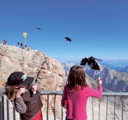 Free conducted tours of the peak: A small insight into the myths and history surrounding the Zugspitze exclusively for the guests of the Tiroler Zugspitzbahn (in summer only).
