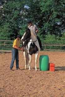 Kap.8 Mögliche Ziele im Reitsport Reitbeteiligung Wenn sich mehrere Personen um ein Pferd kümmern, sind detaillierte Absprachen in Bezug auf Aufgabenteilung und Anwesenheitszeiten sehr wichtig.