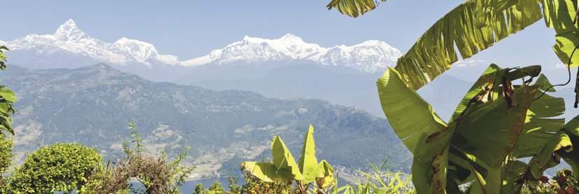 Blick zum Machhapuchhare NEPAL 10 Tage Tempel und Dschungel hautnah erleben Kathmandu Hauptstadt Nepals, Schmelztiegel vieler Nationen Patan Stadt der Schönheit und Schönen Künste Den Dschungel