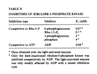 Regulation durch Interaktion von Enzymen mit Metaboliten Beispiel: Phosphoribulokinase Transkriptionale Regulation des Calvin-Zyklus in Anpassung an den C- und N-Status der Pflanze