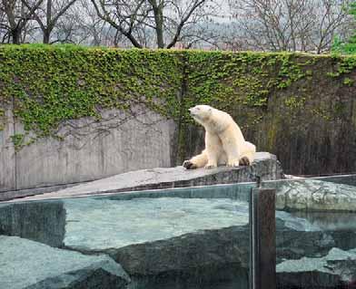 Fotos: Deutscher Tierschutzbund verständnis vieler Zoodirektoren in Deutschland, die sich offenbar nicht die Blöße geben wollen, dass vermeintliche Nicht-Tierhalter ihnen vorschreiben, wie sie Tiere