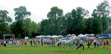 Nummer 28 13. Juli 2017 Ostfildern aktuell 200 Jahre Vollblutaraberzucht am Schlössle Scharnhausen Stolz auf die Silberne Herde Edle Pferde sind zum Jubiläum in Scharnhausen zu Gast.