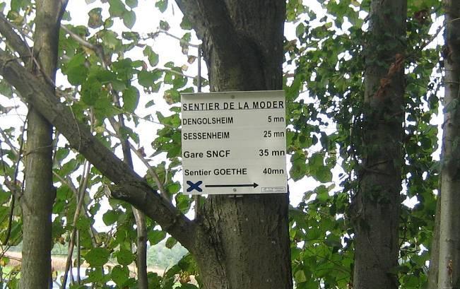 Am südlichen Rand von Sessenheim gibt es einen Goethe-Wanderweg.