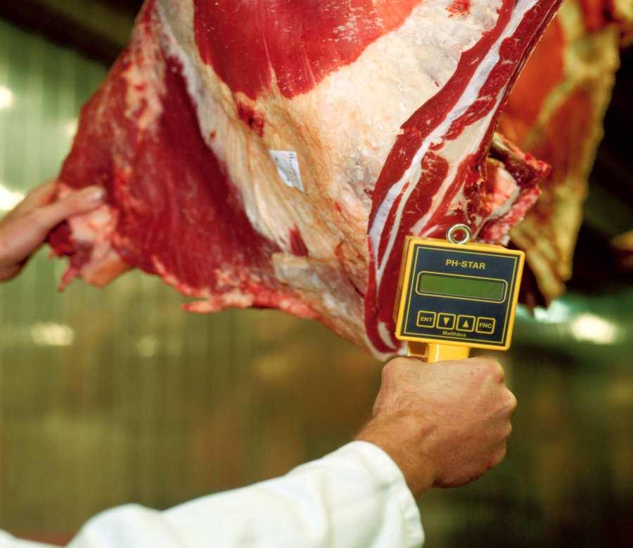 2 Die vorliegende Richtlinie beschreibt ein freiwilliges Qualitätssicherungssystem für Frischfleisch (Rind-, Kalb-, Schweine- und