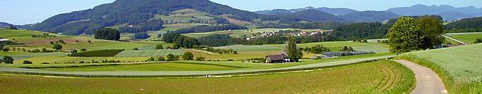 ca. 180 Hasen/km 2 Kulturlandschaft Schweiz: ca.