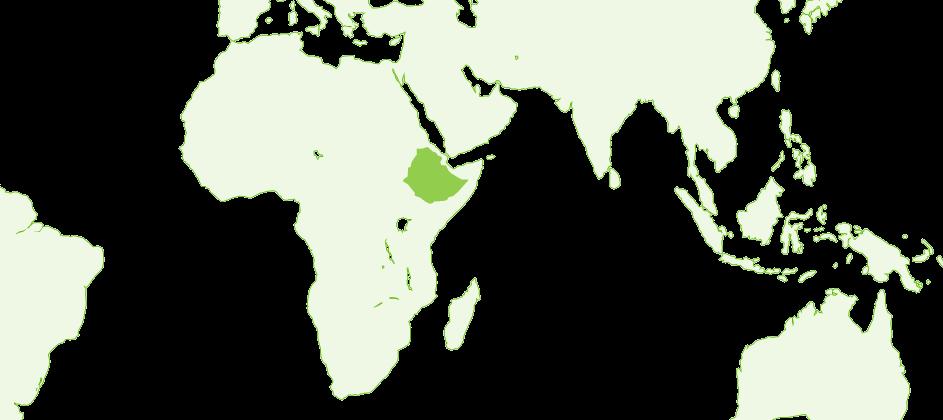 Landesinformationen Äthiopien Grundinfos Äthiopien Deutschland Fläche 1.133.380 km² 357.104 km² Bevölkerung 79 Millionen 82,3 Millionen Bevölkerungsdichte 70 Einw./km² 230 Einw.