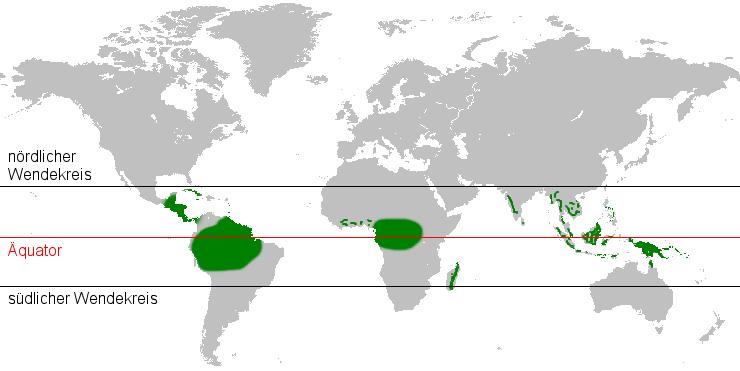 Tropenwald und Tropenholz Tropenwälder bedecken etwa 1,66 Milliarden Hektar und machen damit rund 40 % der weltweiten Waldfläche aus.