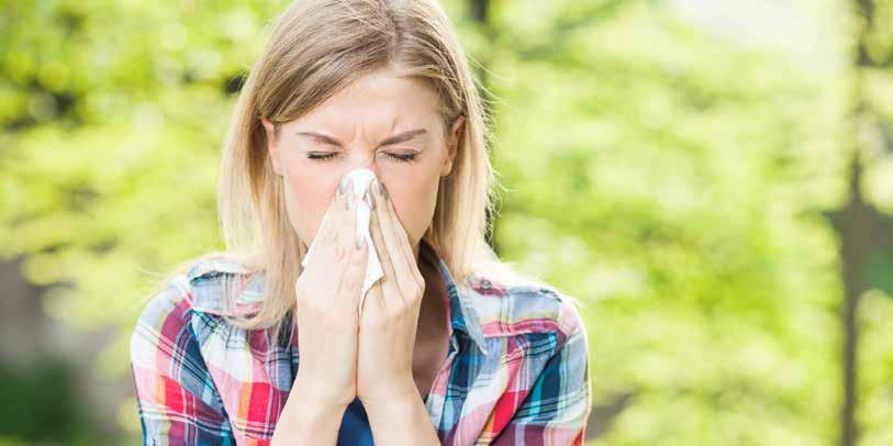 6 Gesundheit Es liegt was in der Luft Bald ist der Frühling da! Die Vögel singen, die Natur erwacht wieder zum Leben und die Allergiker kämpfen gegen eine Flut von Pollen an.