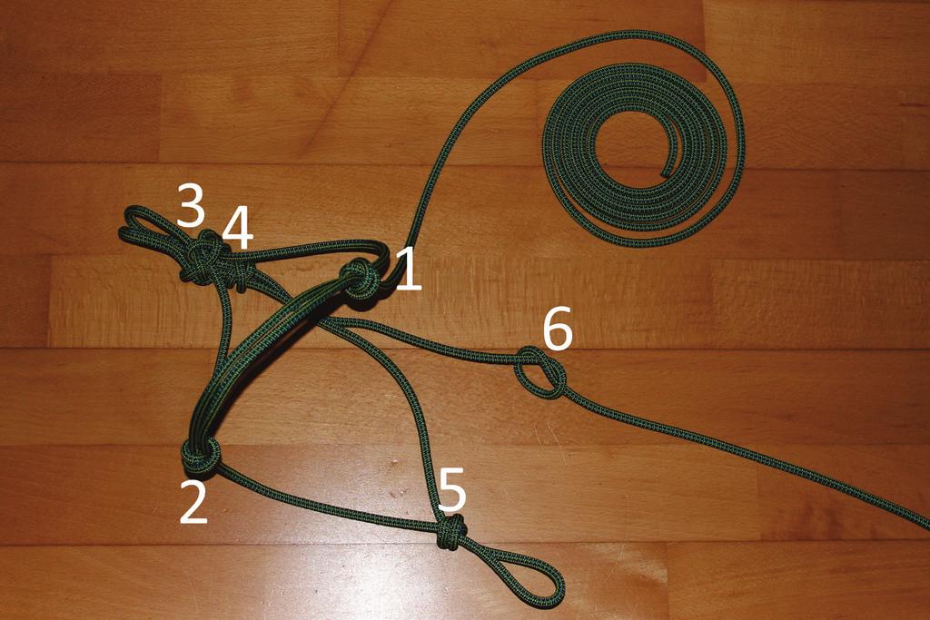 Mit dem kurzen Seilende wird der erste Teil von Knoten 6 gemacht. Das lange Seilende verknotet man jetzt auch noch mit dem Knoten 6. Somit ist das Halfter fast fertig.