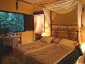 Regenwald Traumhafte Lage am Fluss Beispiel: Jungle Zimmer Wohnen: 60 gemütliche Zimmer oder