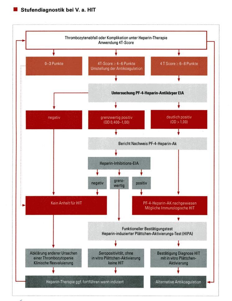 Stufendiagnostik bei V.a. HIT (nach T.