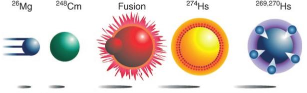 Heiße Fusion schwere (Trans-)Actinide als Target: 240 94 leichtere Ionen als Projektile: 26 12Mg, 34 14 höhere Asymmetrie der Z, Coulomb-Barriere Pu, 249 97Bk, 248 Si,, 48 20