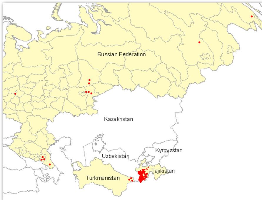 Sequenzanalysen WPV1 aus Indien nach Tadschikistan (n= 458) von dort min.