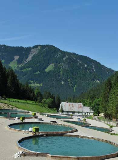 Aquakultur in der Steiermark Um 16 Ecken besser In der steirischen Oberlaussa, Gemeinde WeiSSenbach an der Enns, wurde mit Hilfe von TIMBERRA die modernste Aquakulturanlage Österreichs errichtet.